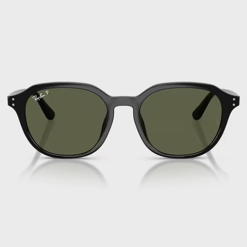 레이벤 선글라스 RB4459D 901/9A 편광렌즈